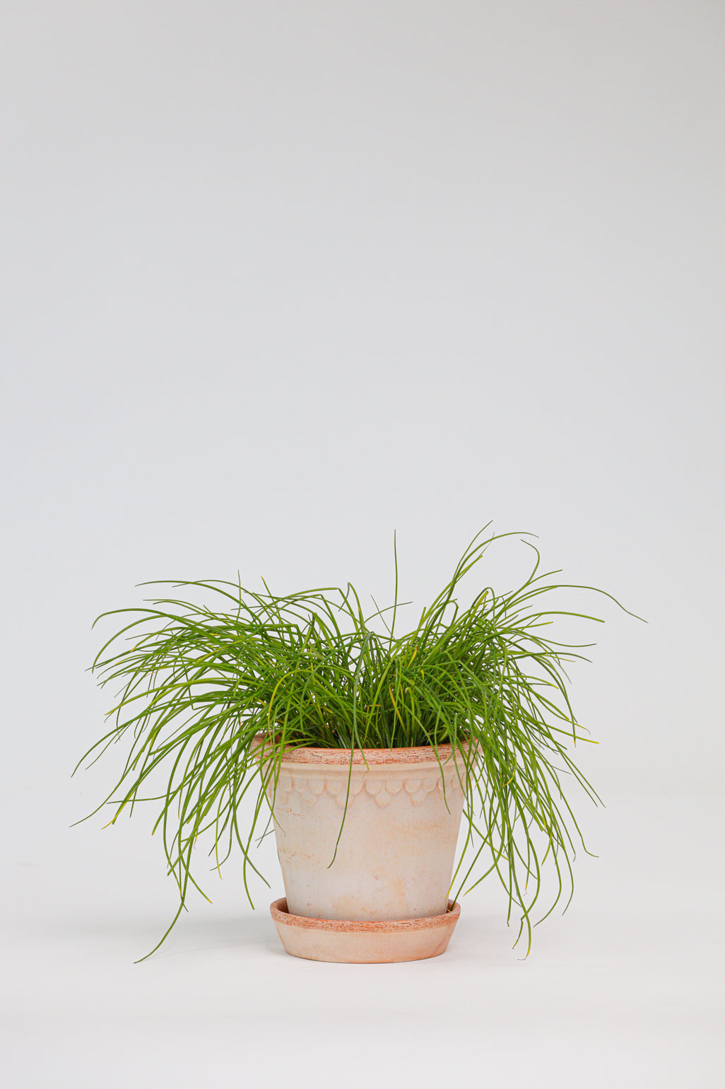 products/SotoProductShootLowQ-1726.jpg